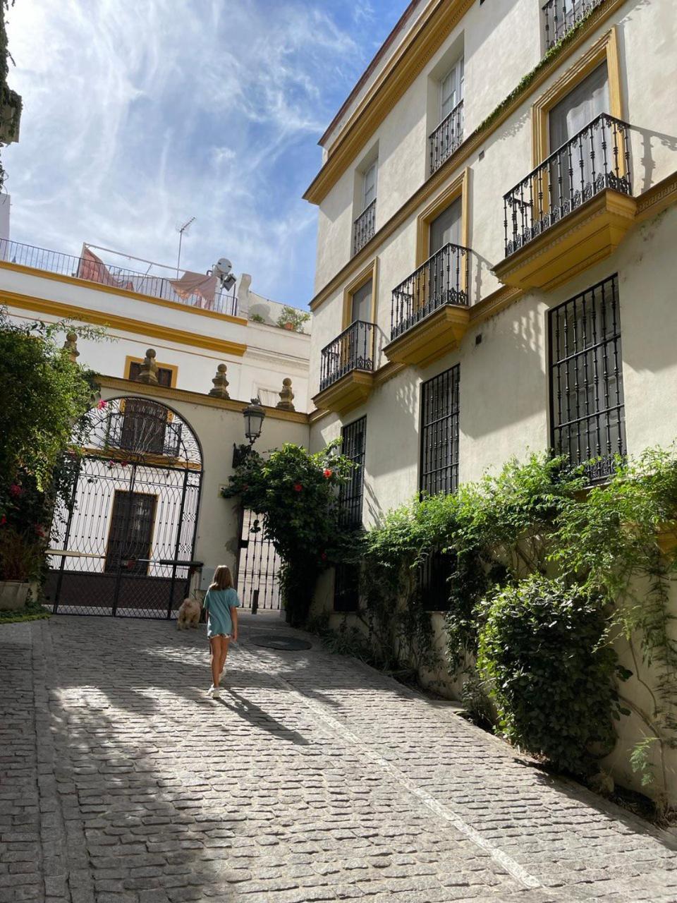 Sevilla Centro-Casco Antiguo -Vidrio 36 Buitenkant foto